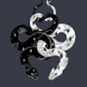 Meet your Posher, Areanna